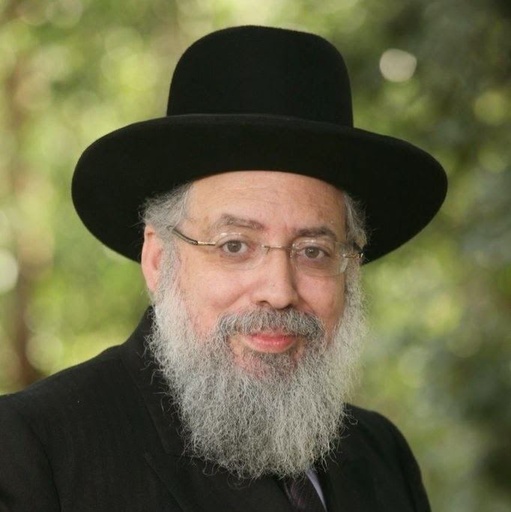 Yaacov Haber