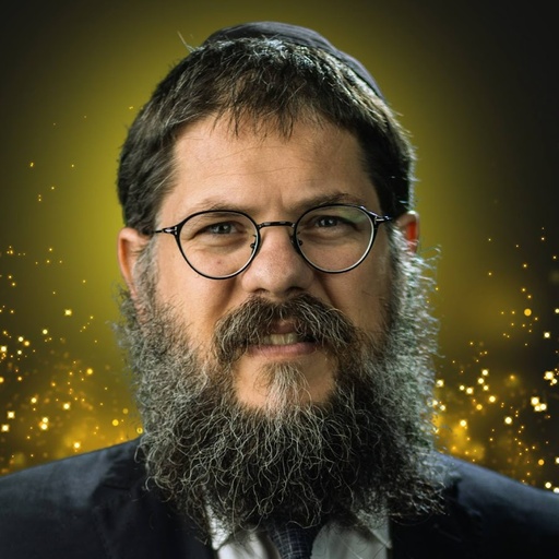 הרב שניאור אשכנזי