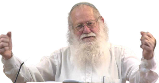 הרב ידידיה ריין