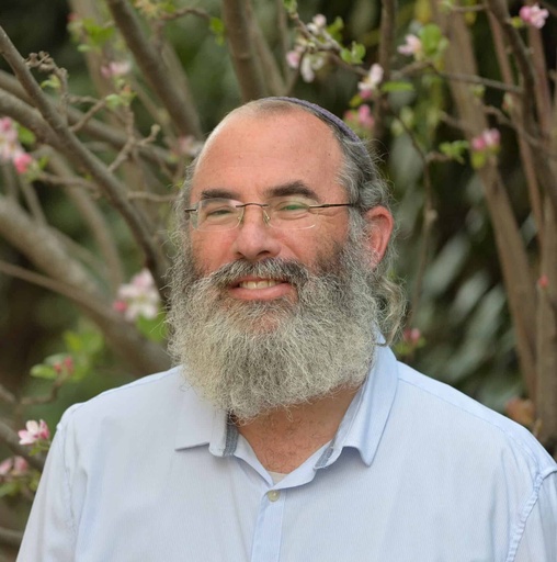 דן האוזר