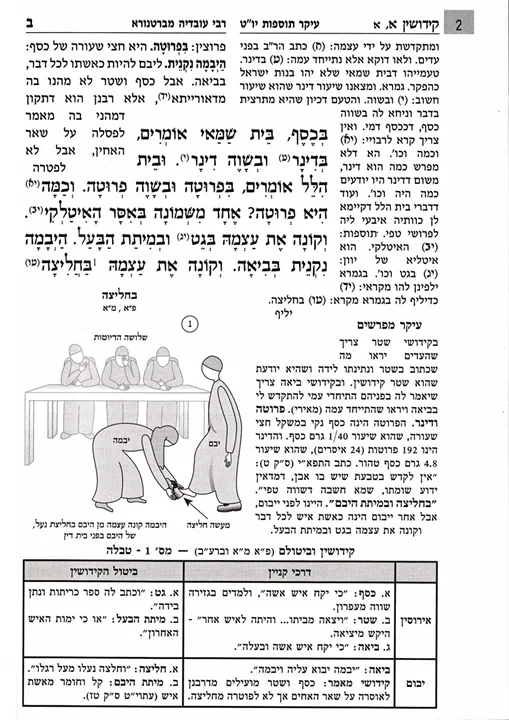 מסכת יבמות - עם איורים | משנה בהירה | סדר נשים 