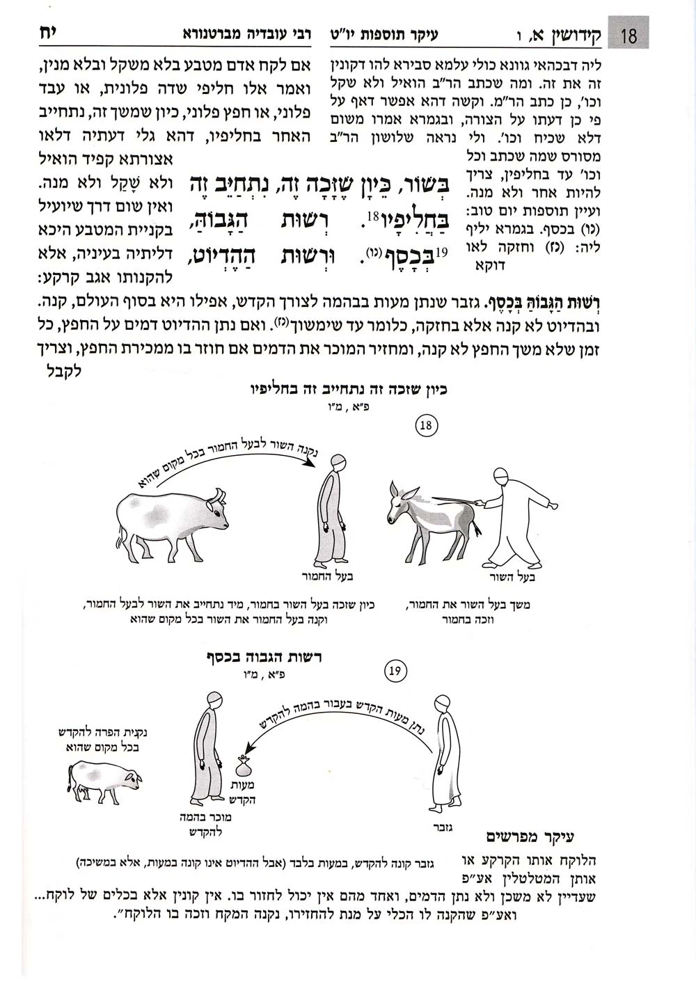 מסכת יבמות - עם איורים | משנה בהירה | סדר נשים 