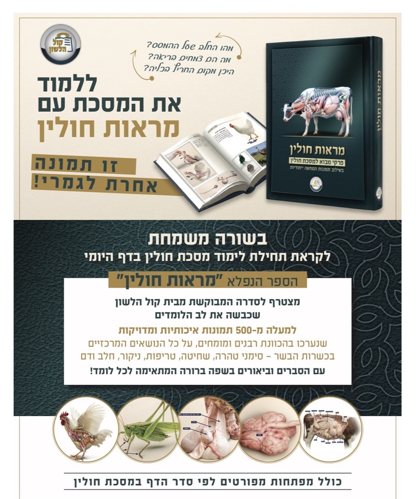 מראות חולין - פרקי מבוא למסכת חולין