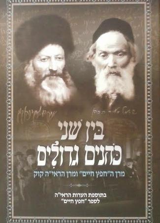 בין שני כהנים גדולים