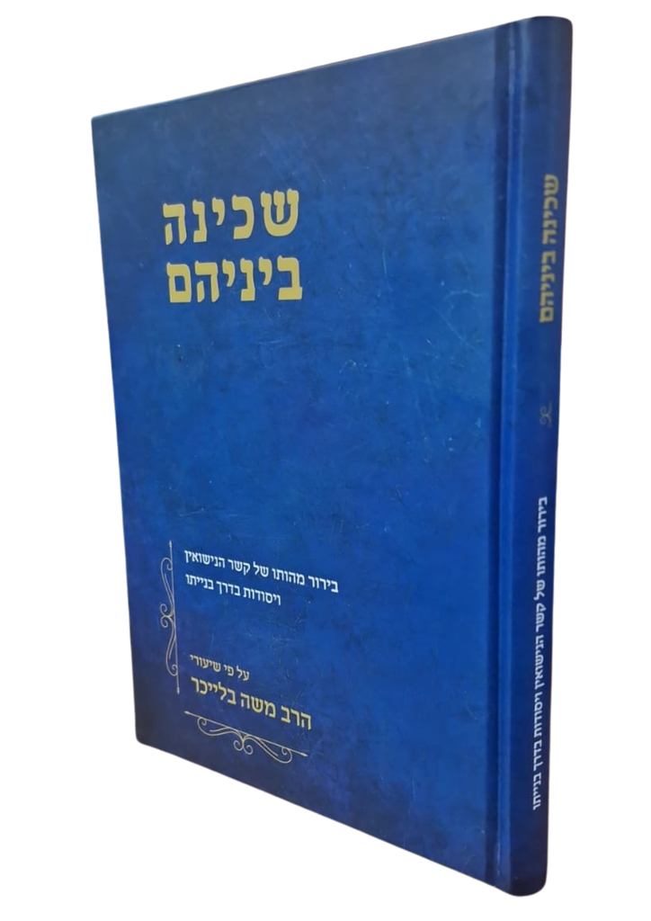 שכינה ביניהם - בירור מהותו של קשר....