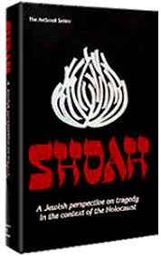 Shoah; A Jewish Perspective on Tragedy h/c