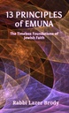 13 Principles Of Emuna / Rabbi Lazer Brody