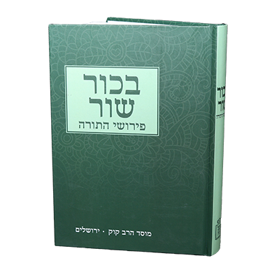 פירוש רבי יוסף בכור שור על התורה
