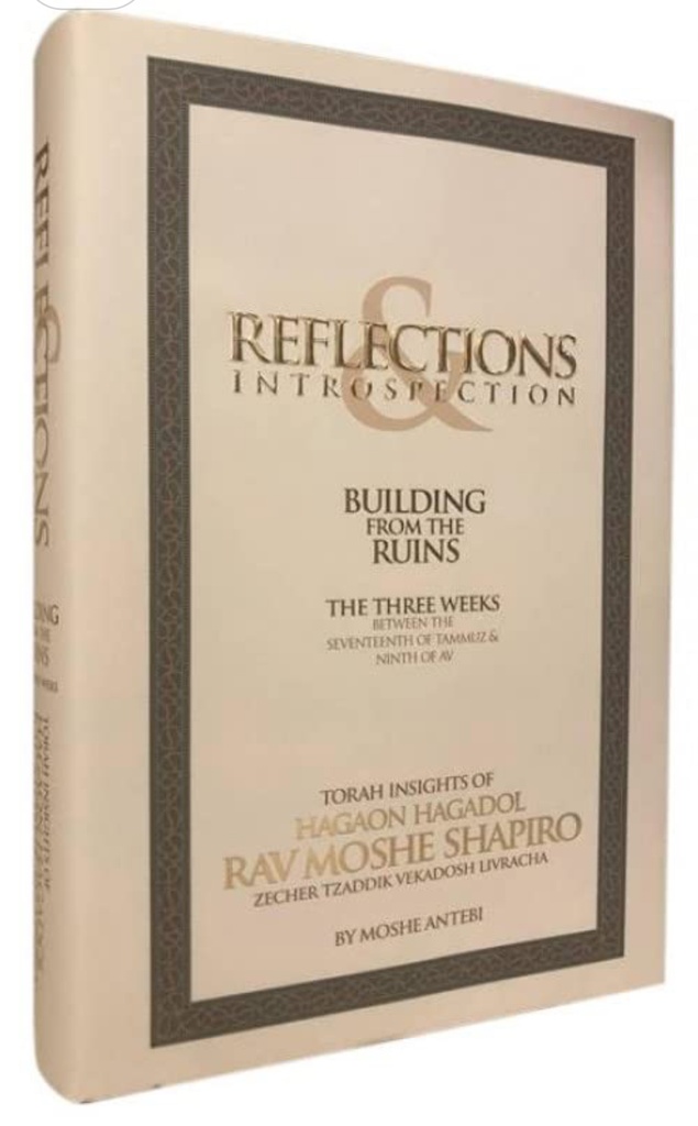Building from Ruins - on the three weeks Reflections / R. Shapiro