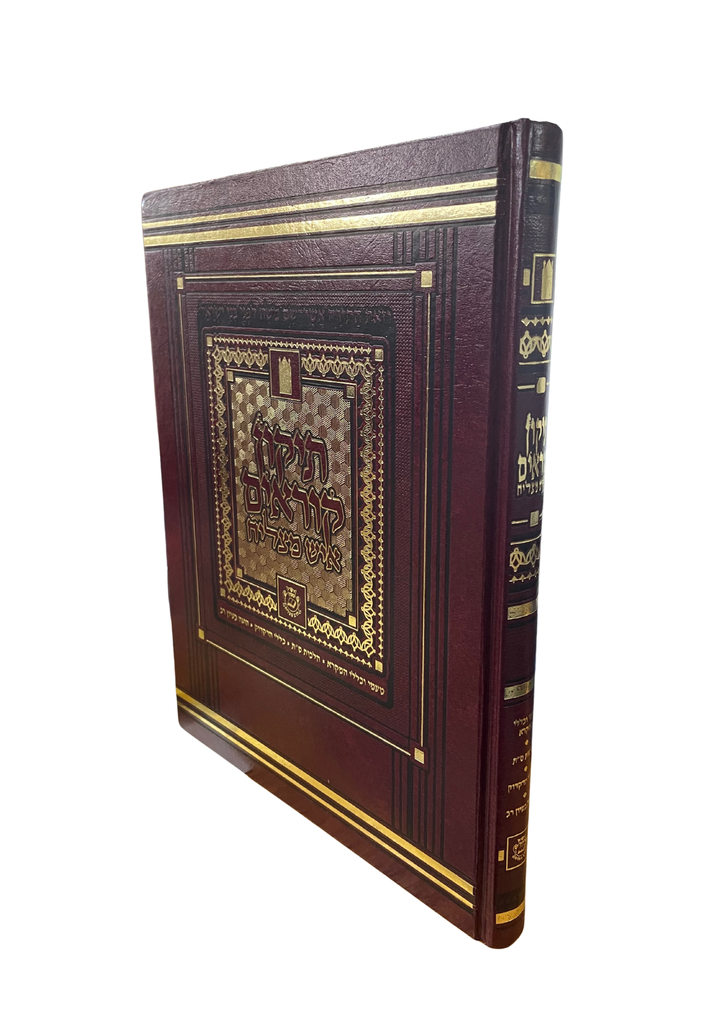 תיקון קוראים - מהדורת איש מצליח | פורמט גדול