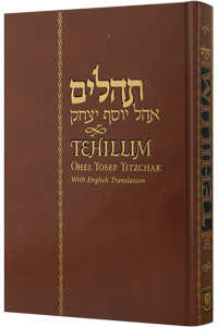 Tehillim - With English Translation | Ohel Yosef Edition | Large