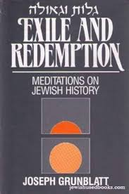 Exile and Redemption: Meditations on Jewish History | Soft Cover