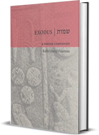 Exodus: A Parsha Companion | Rav David Fohrman
