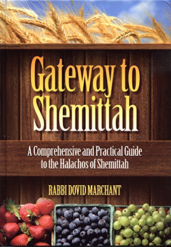 Gateway to Shemittah