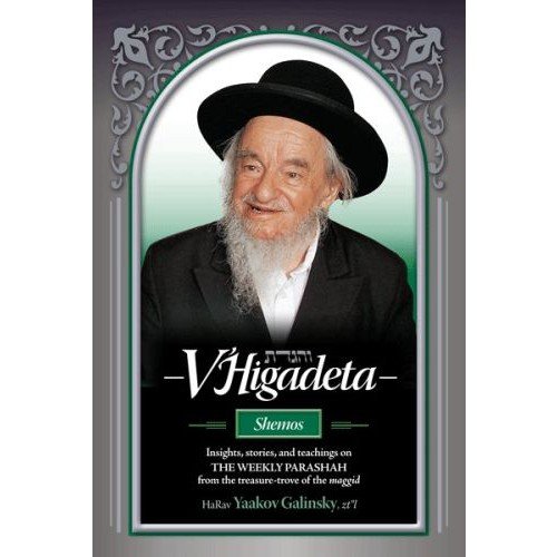 [9781600915567] V'Higadeta-Shemos