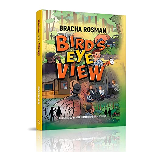 Bird's-Eye View