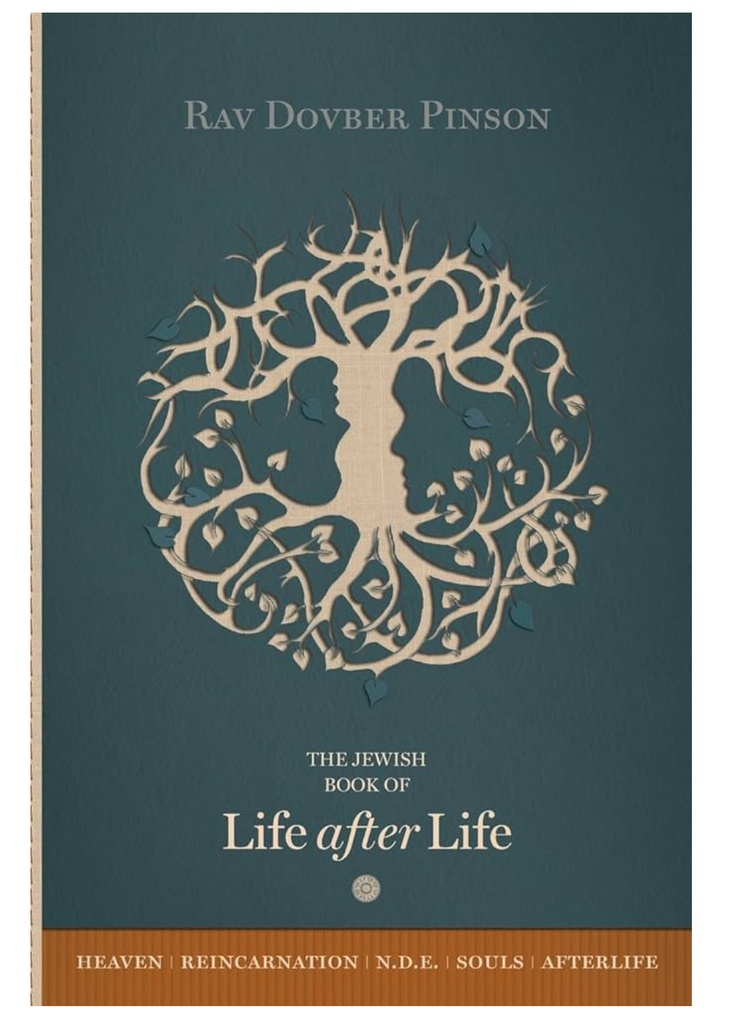 ‎The Book of Life After Life | Rav Dovber Pinson