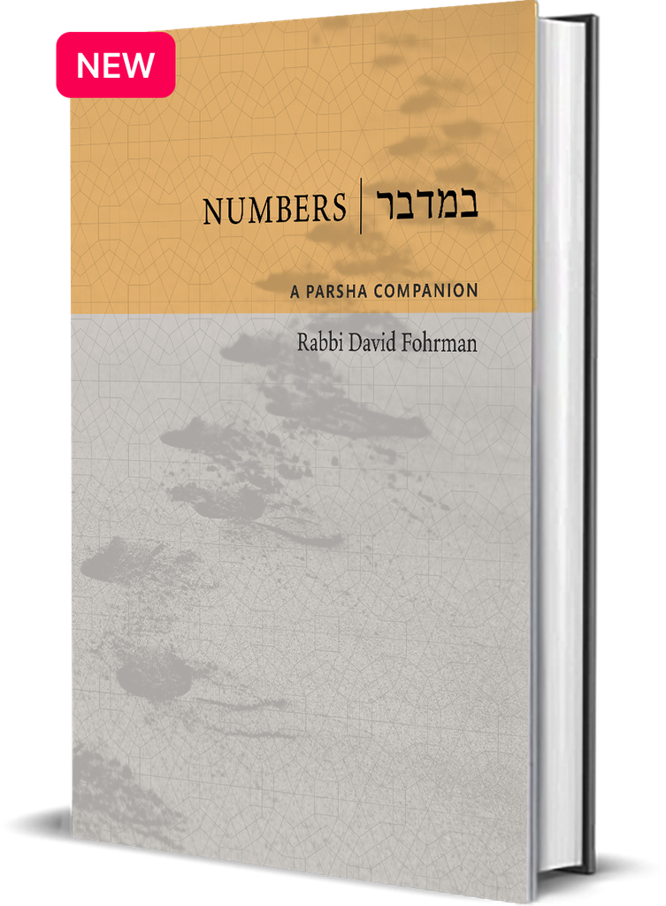 Numbers: A Parsha Companion By Rabbi David Fohrman