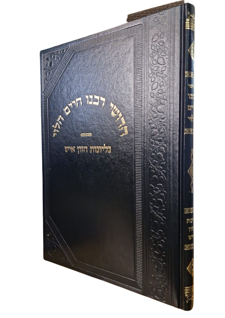 חדושי רבנו חיים הלוי על הרמב"ם - עם חזון איש