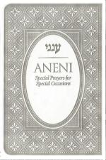 Aneni | Flexible | Silver | Pocket