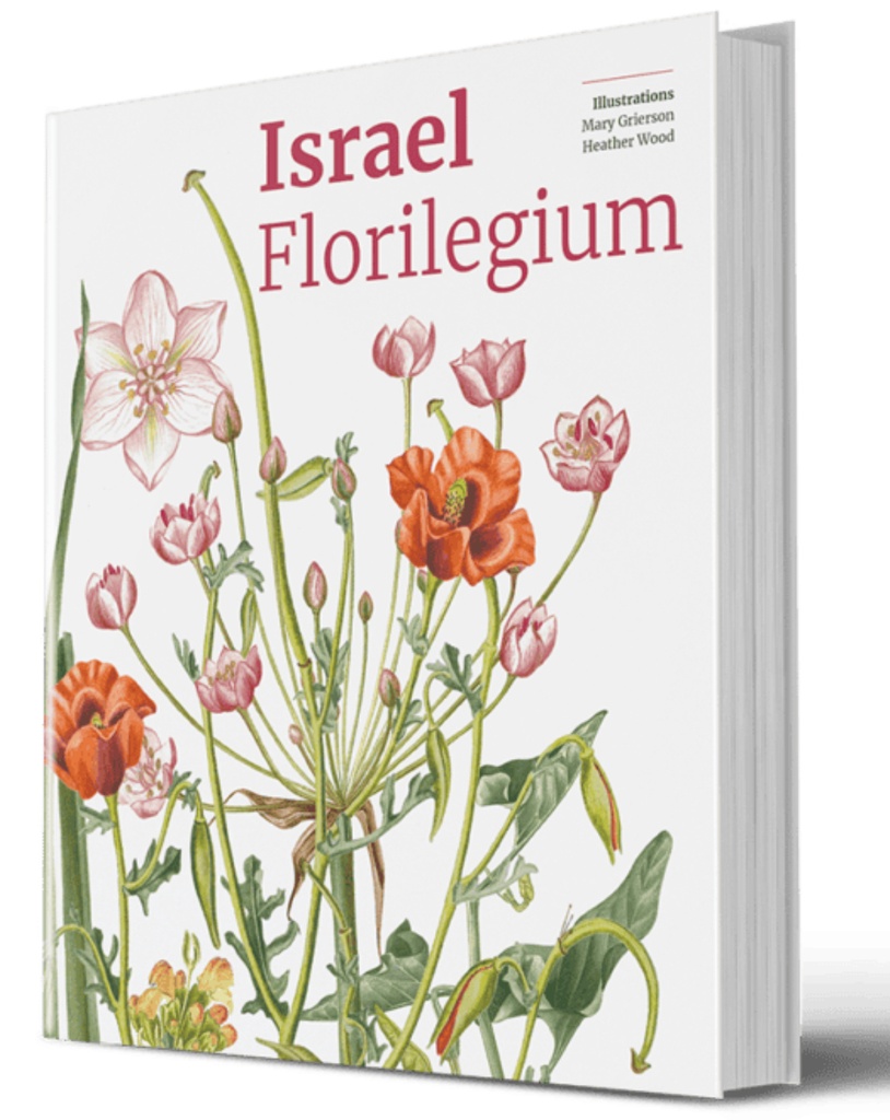Israel Florilegium: a collection of flower illustrations