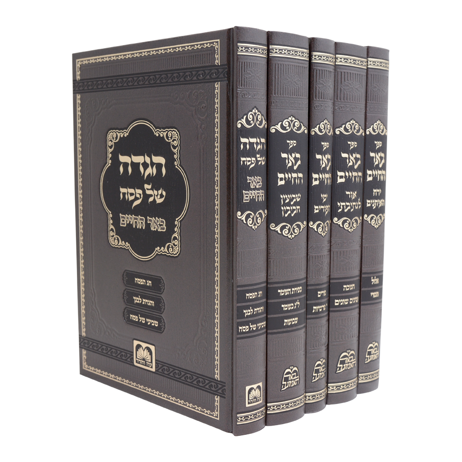 סט באר החיים על המועדים-  הרב בידרמן | סט 5 כרכים