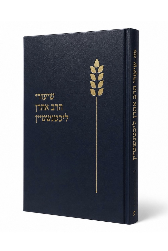 שיעורי הרב אהרון ליכטנשטיין | מסכת גיטין