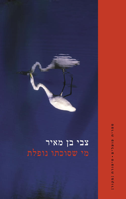 מי שסוכתו נופלת
