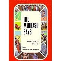 The Midrash Says: The Book Of Bamidbar