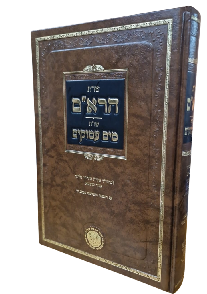 שו"ת הרא"ם | שו"ת מים עמוקים