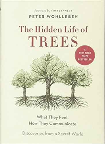 [9781771642484] The Hidden Life of Trees - What They Feel, how They Communicate : Discoveries from a Secret World