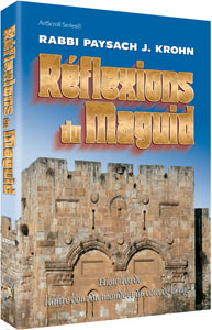 [9781578193554] Réflexions du Maguid – Histoires inspirantes venues du monde entier et d’à côté