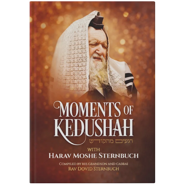 Moments of Kedushah