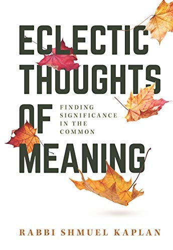 [9781602804357] ECLECTIC THOUGHTS OF MEANING - FINDING MEANING IN THE COMMON | Volume 1