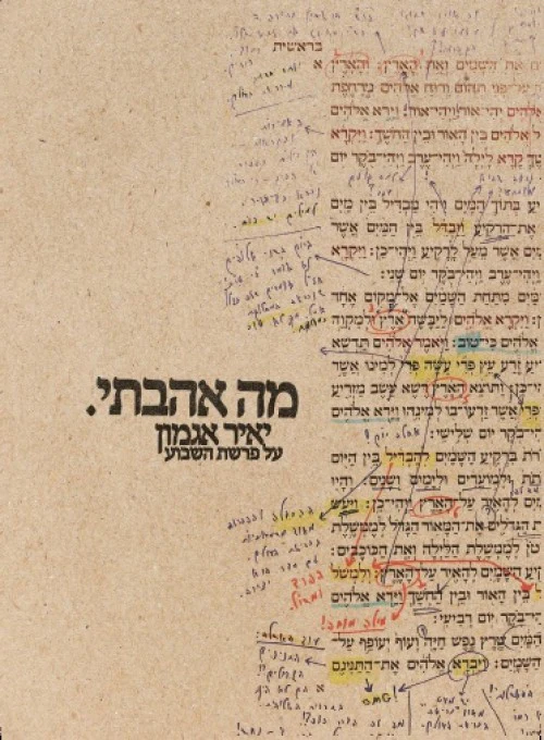 מה אהבתי - פרשת השבוע 