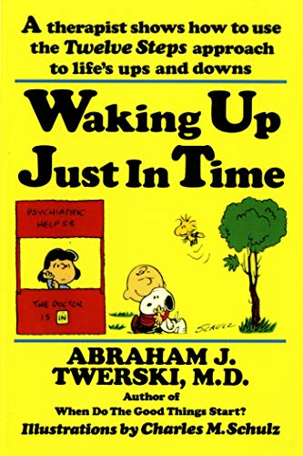 [9780312132071] Waking up Just in Time: A Therapist Shows How to use the Twelve Steps Approach to Life's Ups and Downs