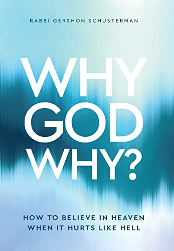 [9798888950722] WHY GOD WHY - How to believe in heaven when it hurts like hell