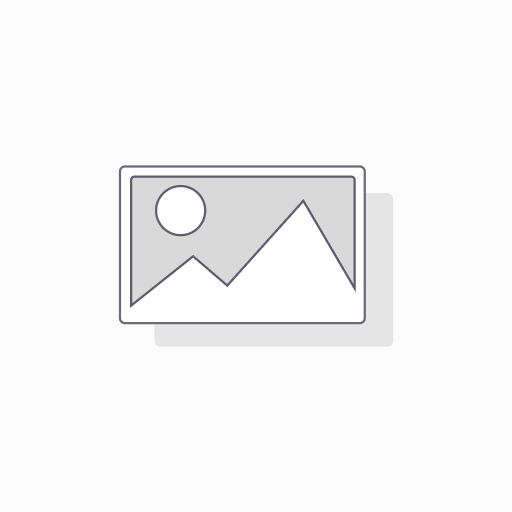 [50002] Shemos / Metsudah Chumash Rashi / Student