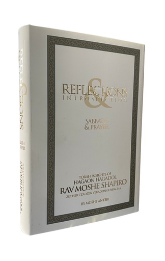 [4030] Exile & Exodus  | Reflections & Introspection | Rav Moshe Shapiro