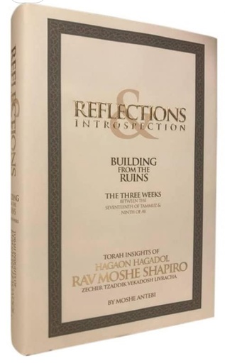 [4031] Building from Ruins - on the three weeks Reflections / R. Shapiro