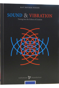 [9781733813006] Sound & Vibrations | DovBer Pinson