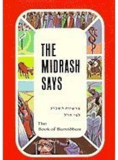 [10910014] Bamidbar Midrash Says