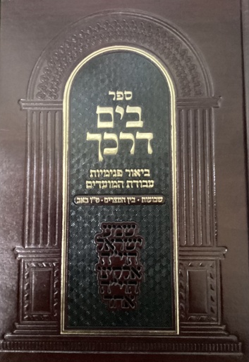 [6766] שבועות בין המצרים ט"ו באב | בים דרכך | ביאור פנימיות העבודה