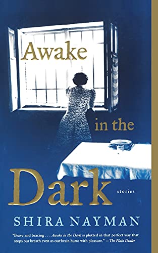 [9780743292818] Awake in the Dark: Stories