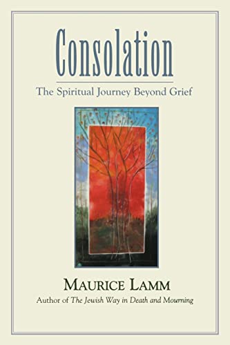 [9780827608153] Consolation: The Spiritual Journey Beyond Grief