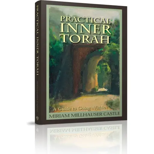 [9781568714202] Practical Inner Torah