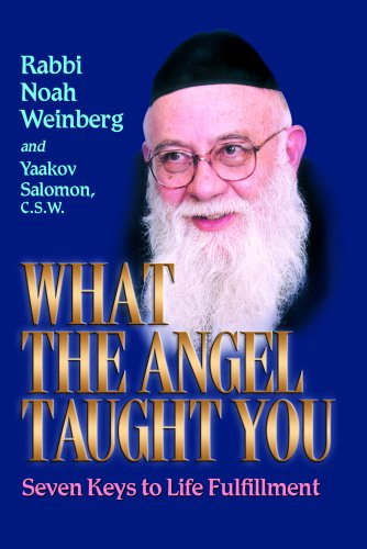[9781578191345] What the Angel Taught you / Rabbi Noah Weinberg