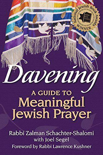 [9781580236270] Davening: A Guide to Meaningful Jewish Prayer