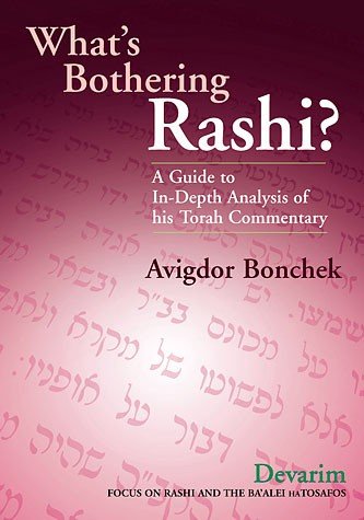 [9781583305645] What's Bothering Rashi?: Devarim