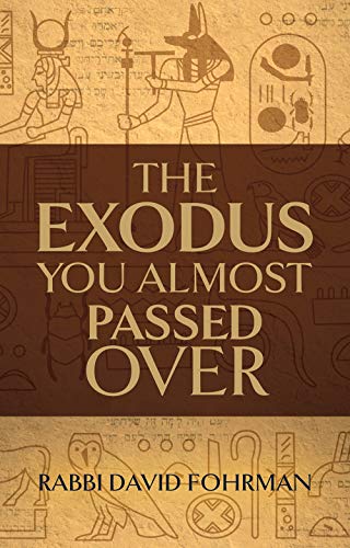 [9781592645688] The Exodus You Almost Passed Over | Rav David Fohrman